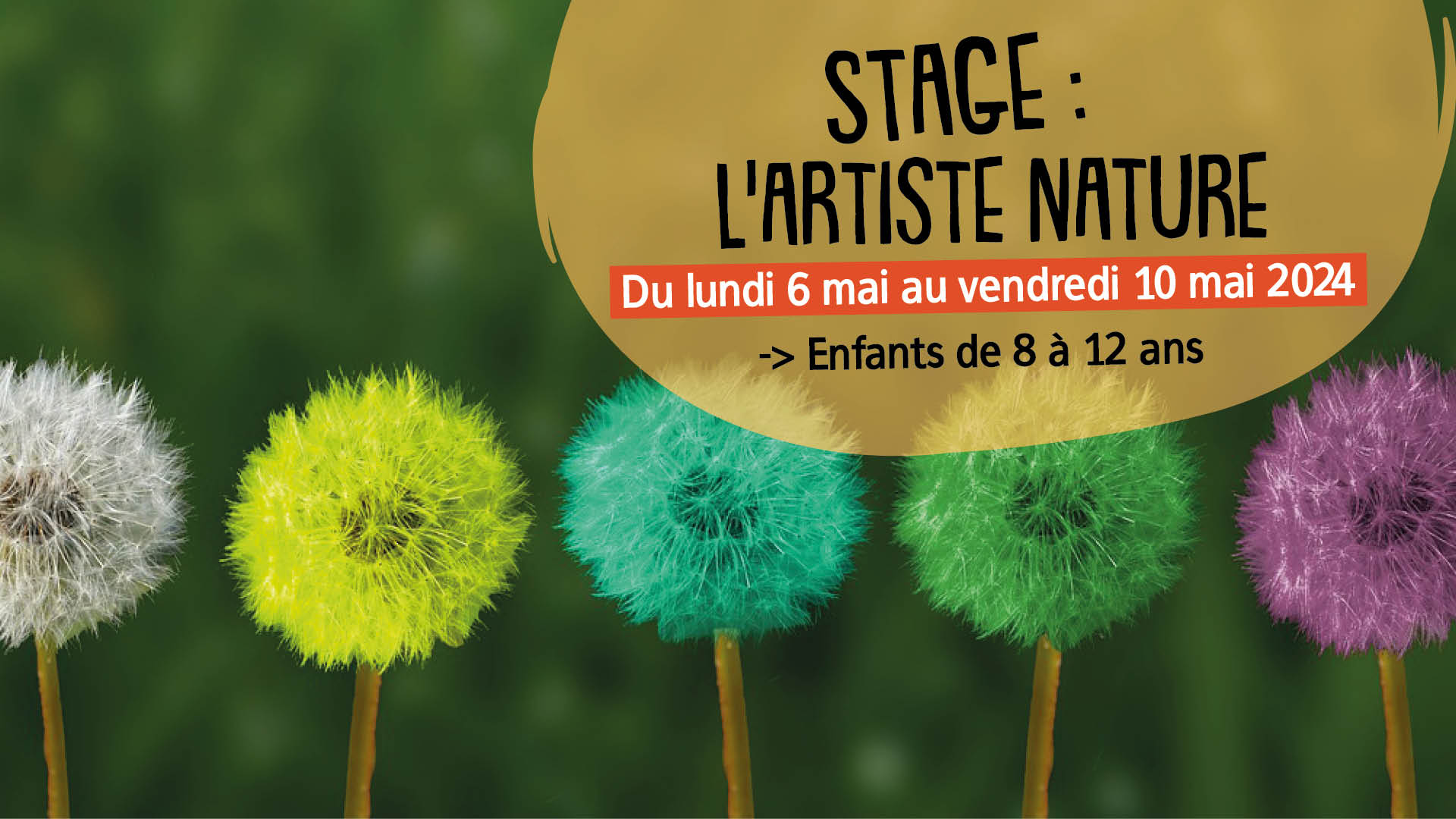 stage nature